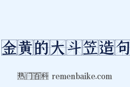 金黄的大斗笠造句是什么意思的图片